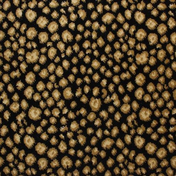 Kane Carpet Newleopard Hunter