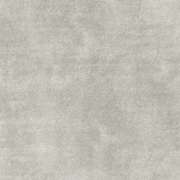 Kane Carpet Perfection Extraordinary