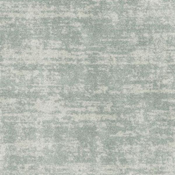 Kane Carpet Perfection Wealth