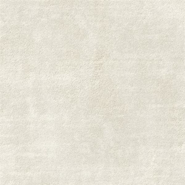 Kane Carpet Perfection Specialty