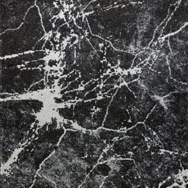 Kane Carpet Royal Touch Marble