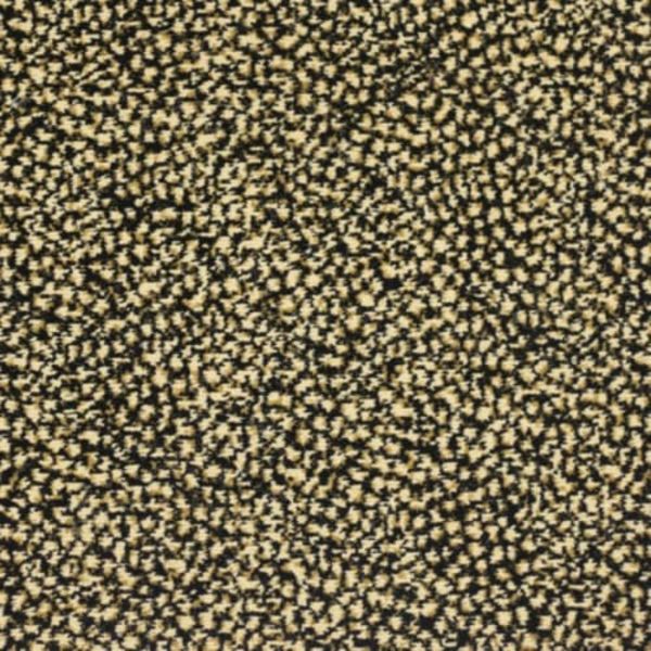 Kane Carpet Sophisticated Skins Fedora