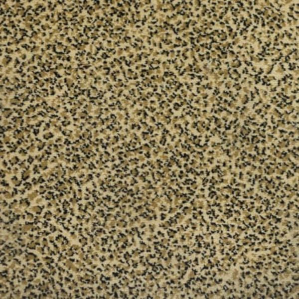 Kane Carpet Sophisticated Skins Kohl