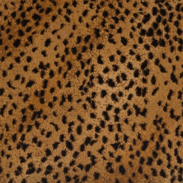 Kane Carpet Wild Asia Badger 38.5