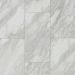 Shaw Floorte Pro Paragon Tile Plus Oyster Collection