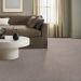 Tuftex Sumptuous I Granite Dust Room Scene