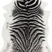 Erin Gates Acadia Aca-1 Zebra Black 5'3" x 7'10" Collection