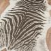 Erin Gates Acadia Aca-1 Zebra Grey 5'3" x 7'10" Room Scene