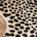Erin Gates Acadia Aca-2 Cheetah Multi 5'3" x 7'10" Room Scene