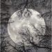 Nourison Home Twilight Moon Collection