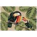Liora Manne Frontporch Two Cute Toucans Neutral Collection