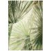 Liora Manne Marina Palm Fan Green Collection