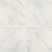 American Olean Ideology Carrara White