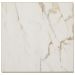Daltile Revotile - Marble Look Calacatta Marble