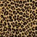 Kane Carpet Angora Spotted Leopard