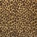 Kane Carpet Newleopard Tigers Eye