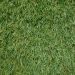 Kane Carpet Pallermo 3431 Grass 122