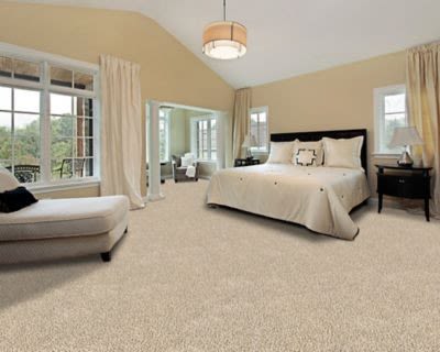 Shop Mohawk Flooring Up The Ante Harmonious Carpet 3M44-829 Carpet