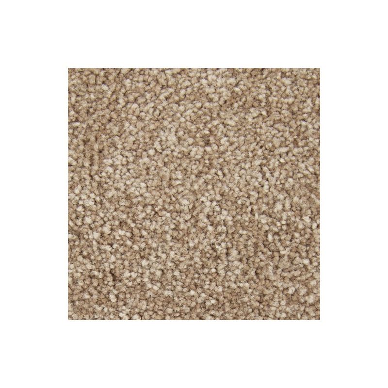 Shop Mohawk Flooring Inviting Charisma Nouveau Carpet 3A11-561