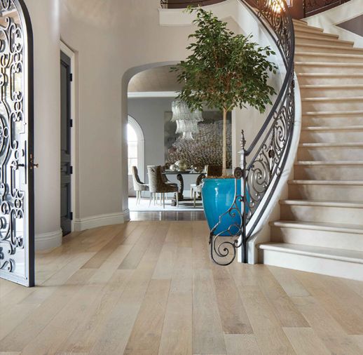 Shop Bella Cera Casa Mia Molino CMLN448V Hardwood Flooring