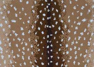 Couristan Royalax Ii® Antelope-Ax , Natural 8101/0002