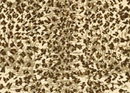 Couristan Cape Town Cheetah CB79/0001