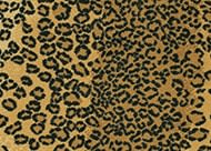 Couristan Cape Town Leopard CB79/0003