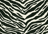 Couristan Cape Town Zebra CB79/0005