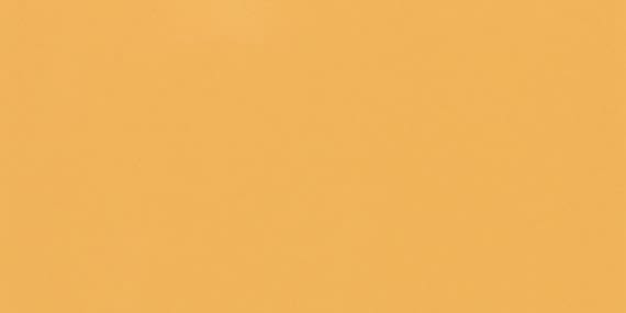 Daltile Color Wheel Linear Mustard 1012RCT824GL