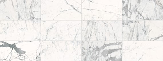 Daltile Marble Statuario M854RCT1224PL