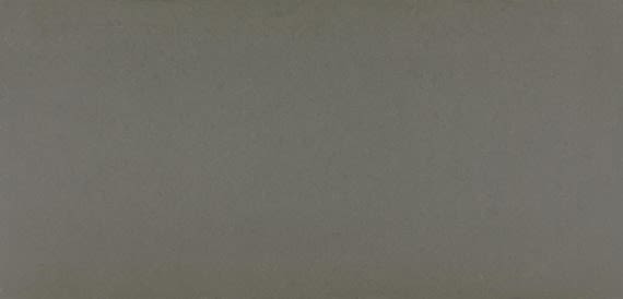 Daltile One Quartz – Concrete Look Mercer Grey NQ52SLVARIALT2