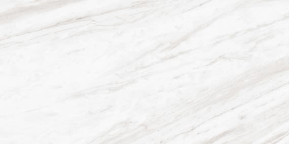 Daltile Perpetuo Timeless White PT20RCT1224ST