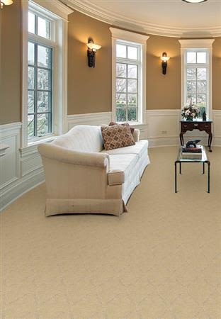 Shop Fabrica Montage Tobacco Road 312MT-MT12 Carpet