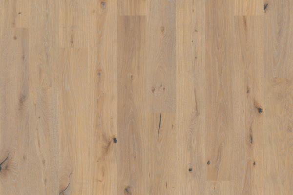 Shop Duchateau Atelier Series Sun Glint ATS-SUN9-1 Hardwood Flooring ...