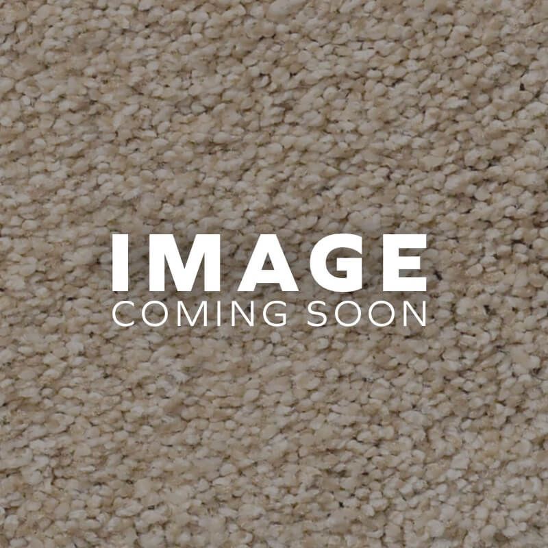 Instock Carpet in Appleton & Oshkosh, WI Carpetland USA Wisconsin