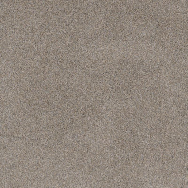 Shop Perfect Home Comfort Zone II Vapor CP184-92145 Carpet