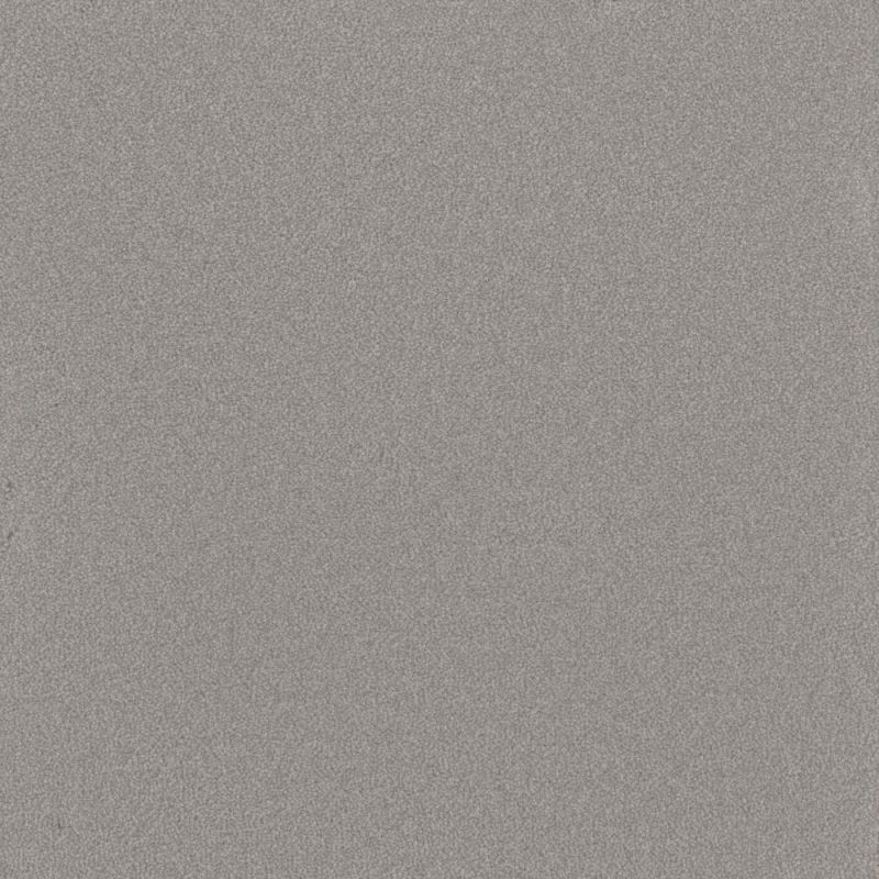Shop Perfect Home Grandiose II Veil CP189-93258 Carpet | Lynch