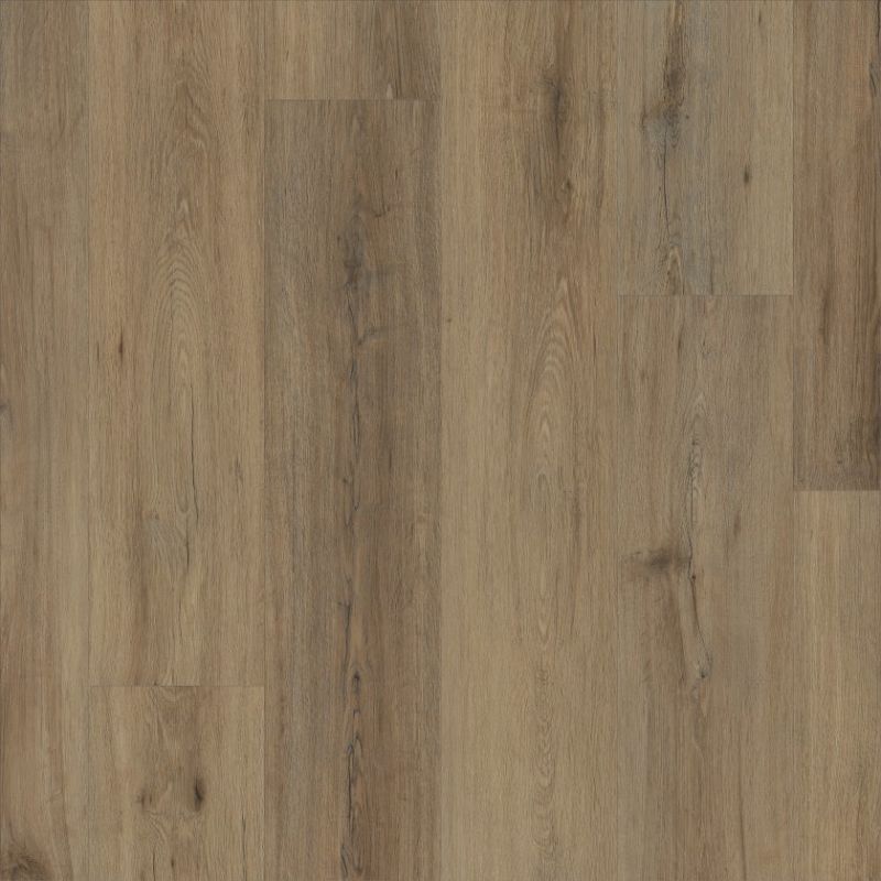 その他 DUNE NO.20 PARADISE COLORTILE Epic Edge Wild Dunes CV251-7089 Shop Luxury Vinyl