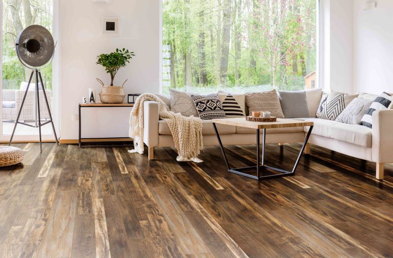 Shop AUDACITY MONTICELLO LEGACY CFL50102821001 Laminate Flooring
