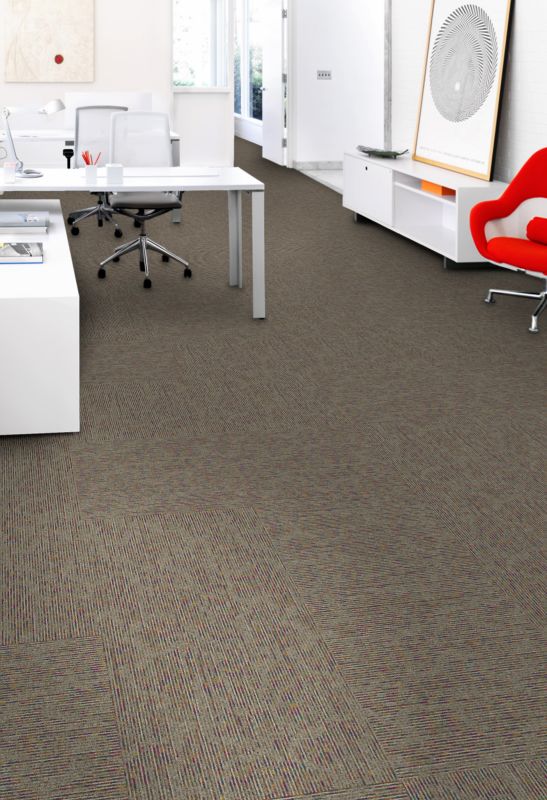 Shop Aladdin Commercial Here To There Bike Path 2B213-568 Carpet