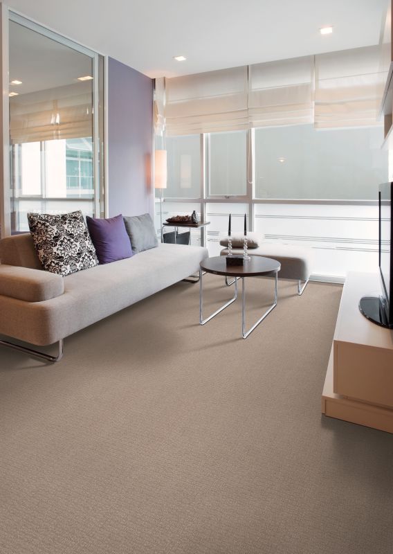Shop Mohawk Smartstrand Ideal Dream Grey Ice 2L66-915 Carpet