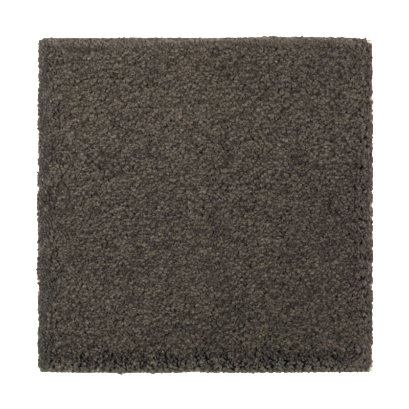 Shop Mohawk Smartstrand Silk Nature's Charm I Wrought Iron 2N32