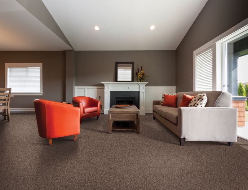 Shop Mohawk Smartstrand Take Notice II Steambath 2P50-928 Carpet