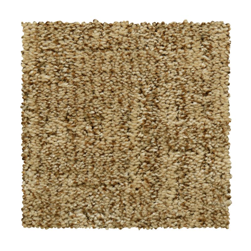 Mohawk Everstrand Random Nature Fresh Earth 2V38-862