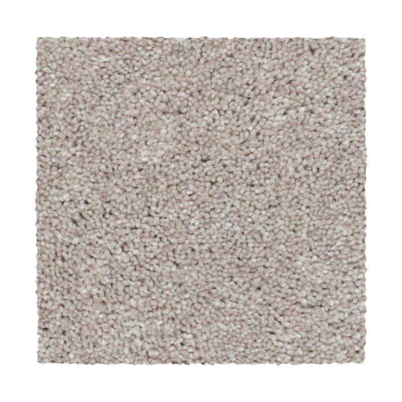 Shop Mohawk Everstrand Wilmington Creek Fox Hunt 2Z73-810 Carpet