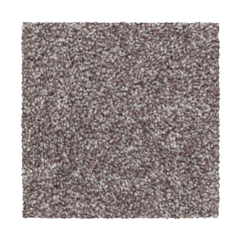 Shop Mohawk Everstrand Wilmington Creek Enchanting 2Z73-889 Carpet