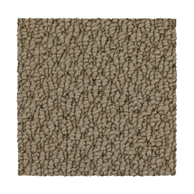 Shop Mohawk Everstrand Cozy Classic Natural 3C46-732 Carpet