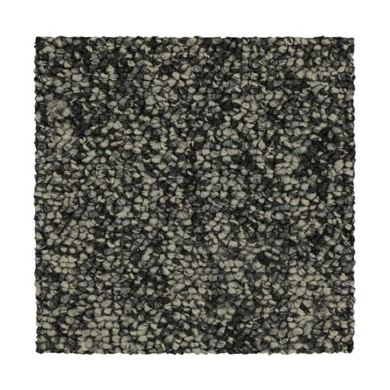 Shop Mohawk Everstrand Chic Comfort Charcoal 3C49-996 Carpet