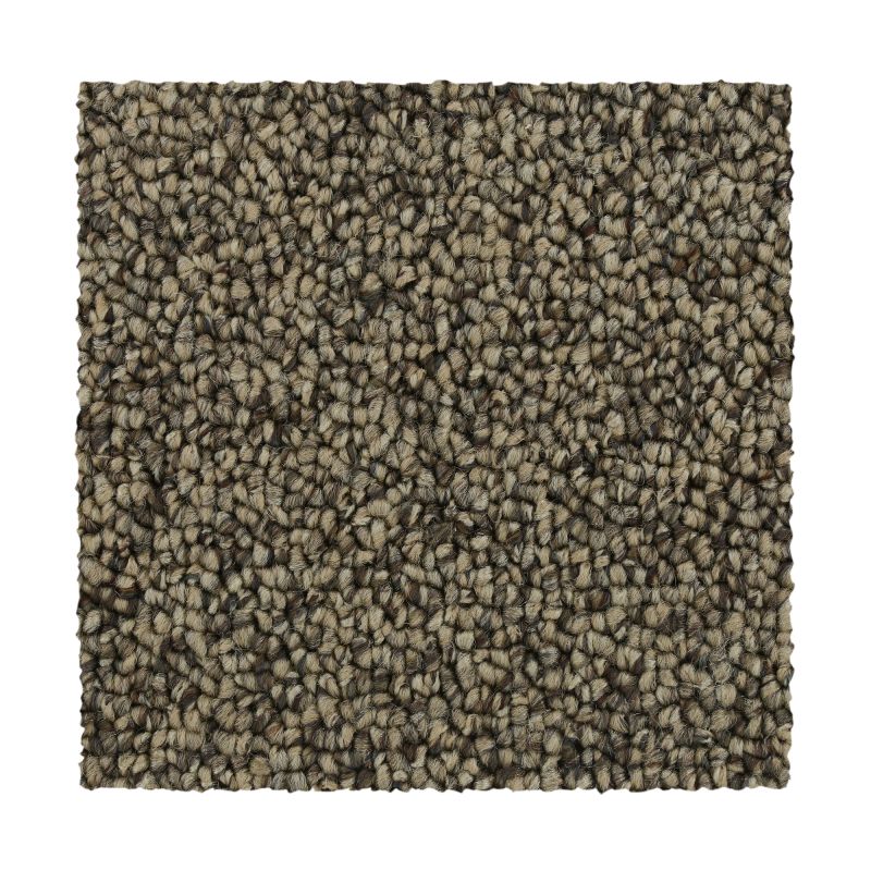 Mohawk Everstrand Pure Wonder Warm Neutral 3D78-722 Carpet| Tri