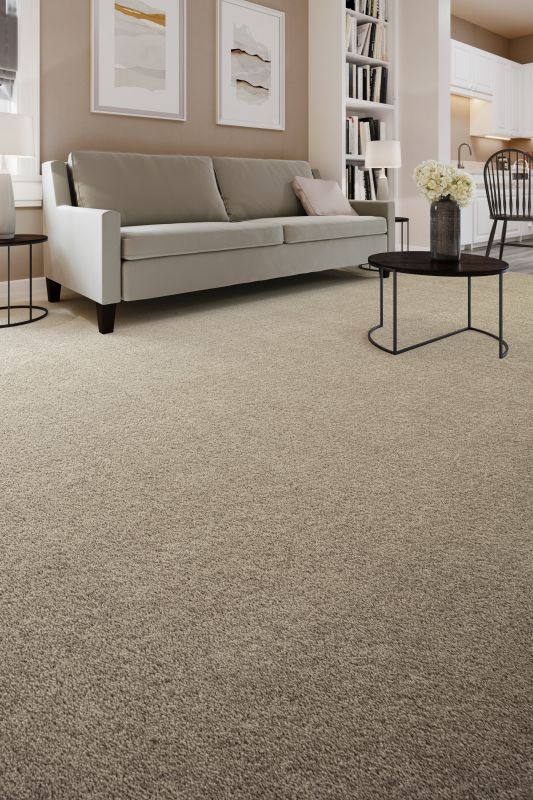 Shop Mohawk Everstrand High Hand II Celtic Haze 3G79-989 Carpet